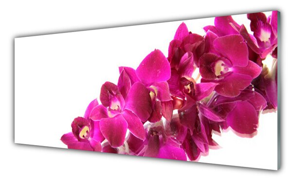 Nástenný panel  Kvety rastlina príroda 125x50 cm