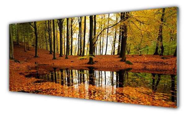 Nástenný panel  Les príroda 125x50 cm