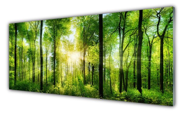 Nástenný panel  Les príroda 125x50 cm