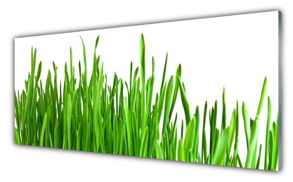 Nástenný panel  Tráva rastlina príroda 125x50 cm