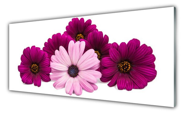 Nástenný panel  Kvety rastlina príroda 125x50 cm