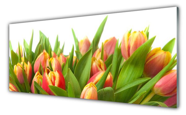 Sklenený obklad Do kuchyne Tulipány kvety rastlina 125x50 cm
