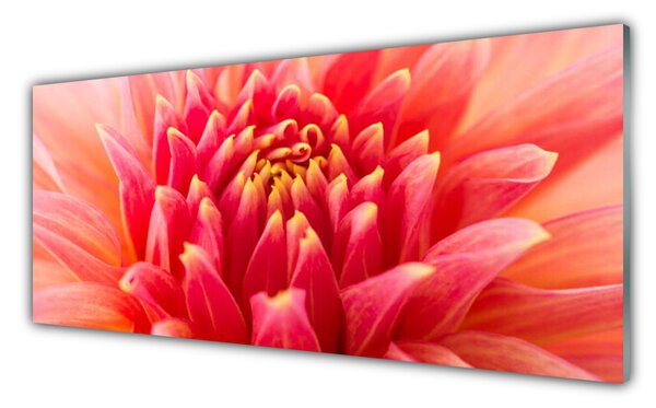 Sklenený obklad Do kuchyne Kvet rastlina príroda 125x50 cm
