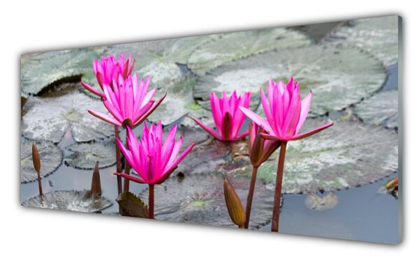 Sklenený obklad Do kuchyne Kvety rastlina príroda 125x50 cm