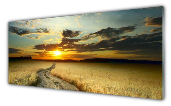 Sklenený obklad Do kuchyne Cestička pole príroda 125x50 cm