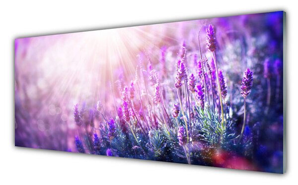Sklenený obklad Do kuchyne Kvety rastlina príroda 125x50 cm