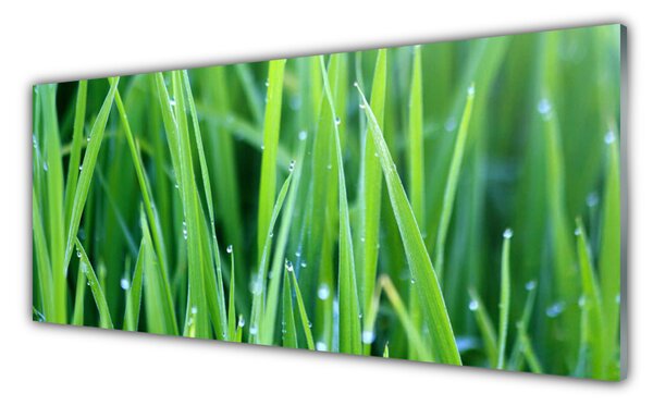 Sklenený obklad Do kuchyne Tráva kvapky rastlina príroda 125x50 cm
