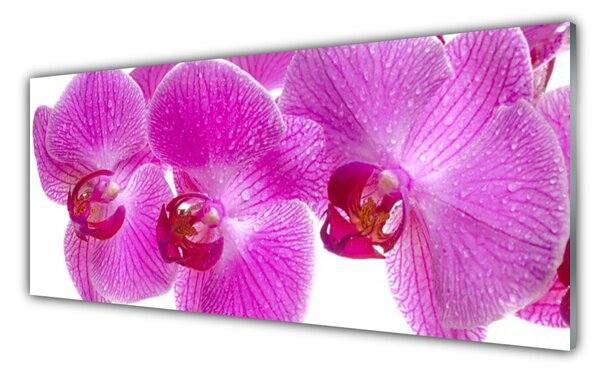 Sklenený obklad Do kuchyne Kvety rastlina príroda 125x50 cm