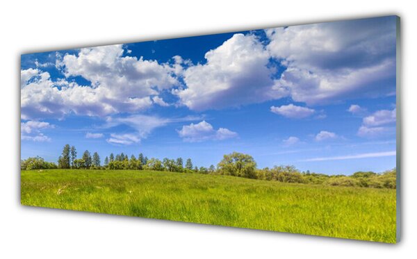 Sklenený obklad Do kuchyne Lúka tráva nebo krajina 125x50 cm