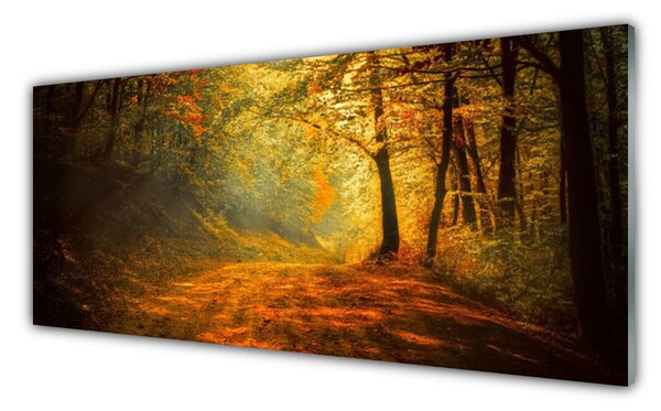 Sklenený obklad Do kuchyne Les cestička stromy príroda 125x50 cm