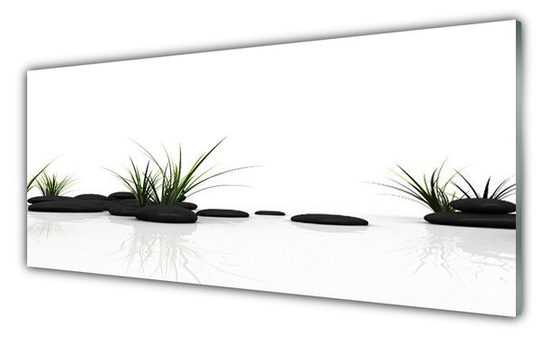 Sklenený obklad Do kuchyne Tráva kamene umenie 125x50 cm