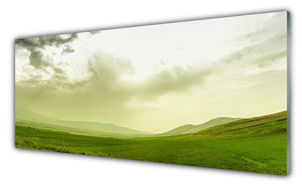 Sklenený obklad Do kuchyne Lúka príroda zelený výhľad 125x50 cm
