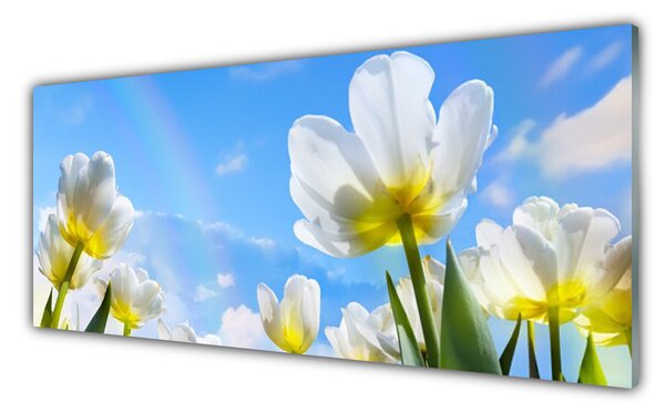 Sklenený obklad Do kuchyne Rastliny kvety tulipány 125x50 cm