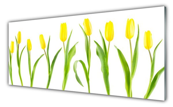 Sklenený obklad Do kuchyne Žlté tulipány kvety 125x50 cm