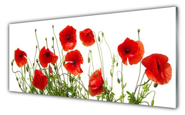 Sklenený obklad Do kuchyne Maky kvety príroda 125x50 cm