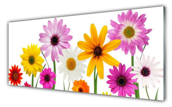 Sklenený obklad Do kuchyne Farebné kvety príroda 125x50 cm
