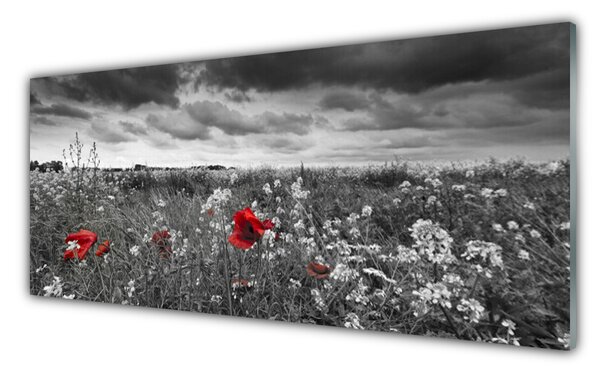 Sklenený obklad Do kuchyne Lúka kvety príroda 125x50 cm