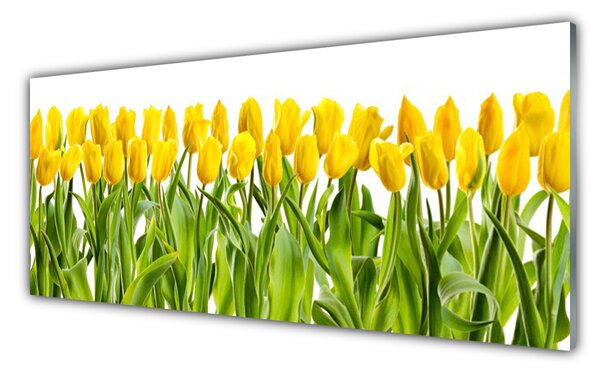 Sklenený obklad Do kuchyne Tulipány kvety príroda 125x50 cm