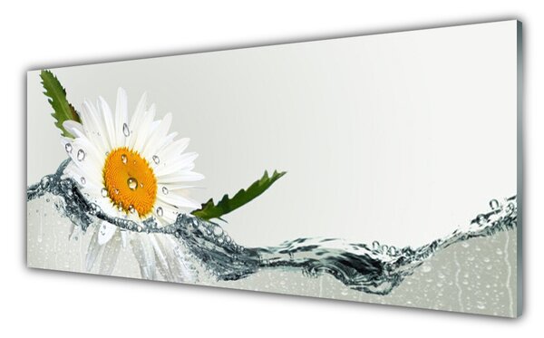 Sklenený obklad Do kuchyne Sedmokráska vo vode 125x50 cm
