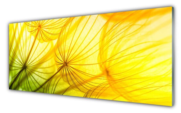 Sklenený obklad Do kuchyne Púpavy kvety príroda 125x50 cm