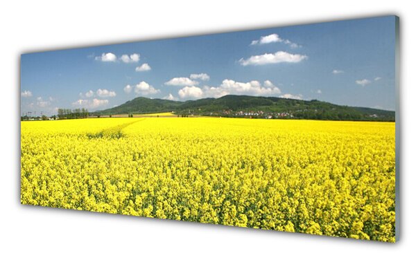 Sklenený obklad Do kuchyne Pole lúka príroda repky olejnej 125x50 cm