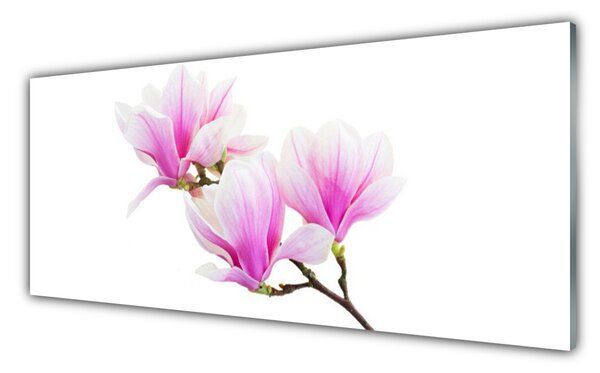 Sklenený obklad Do kuchyne Kvety rastlina príroda 125x50 cm