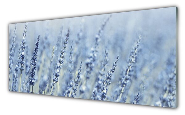 Sklenený obklad Do kuchyne Kvety klasy lúka príroda 125x50 cm