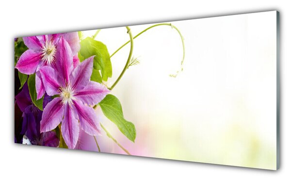 Sklenený obklad Do kuchyne Kvety príroda 125x50 cm