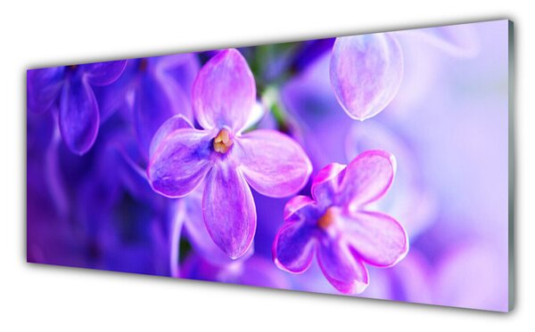 Sklenený obklad Do kuchyne Fialové kvety príroda 125x50 cm