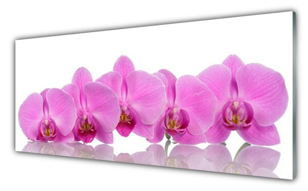 Sklenený obklad Do kuchyne Ružová orchidea kvety 125x50 cm