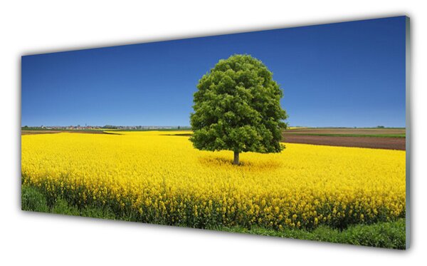 Sklenený obklad Do kuchyne Lúka strom príroda pole 125x50 cm