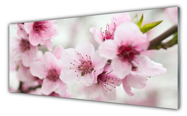 Nástenný panel  Kvety rastlina príroda 125x50 cm