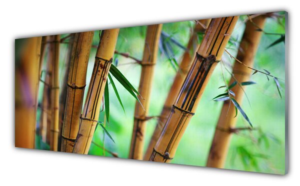 Nástenný panel  Bambus príroda rastlina 125x50 cm