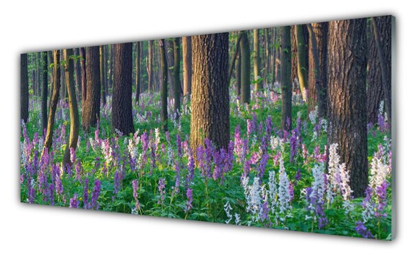 Nástenný panel  Les príroda 125x50 cm