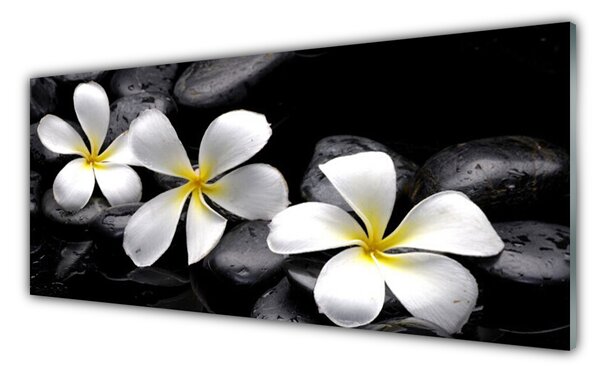 Nástenný panel  Kvet kamene rastlina 125x50 cm