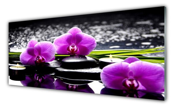 Nástenný panel  Kvet kamene rastlina 125x50 cm