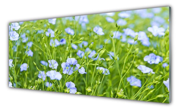 Nástenný panel  Kvety tráva rastlina príroda 125x50 cm