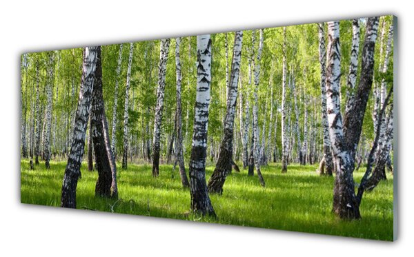 Nástenný panel  Les príroda 125x50 cm