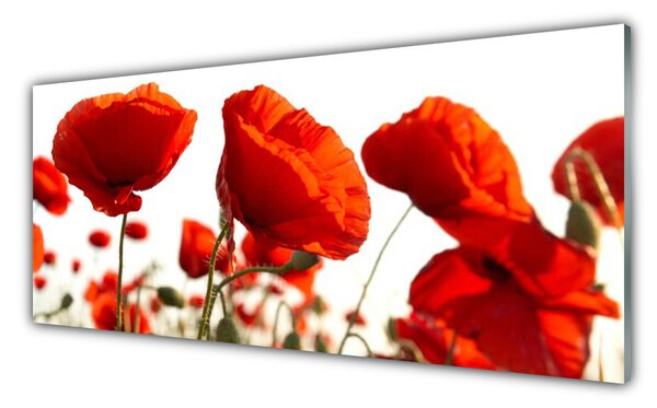 Nástenný panel  Maky rastlina príroda 125x50 cm