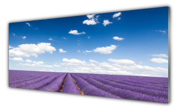 Nástenný panel  Lúka kvety príroda rastlina 125x50 cm