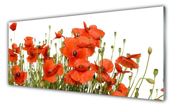 Nástenný panel  Maky rastlina príroda 125x50 cm