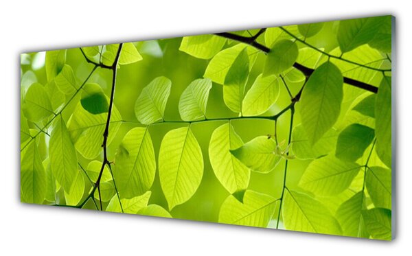 Nástenný panel  Listy príroda rastlina 125x50 cm