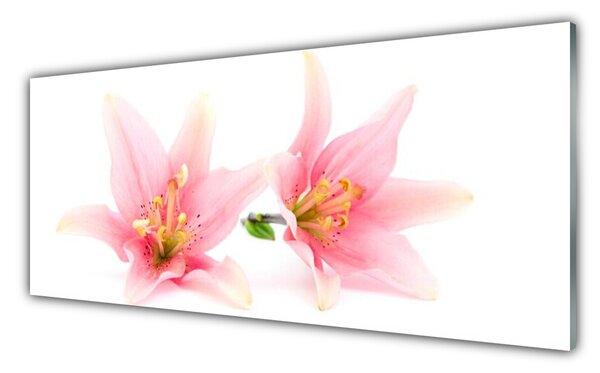 Nástenný panel  Kvety rastlina príroda 125x50 cm