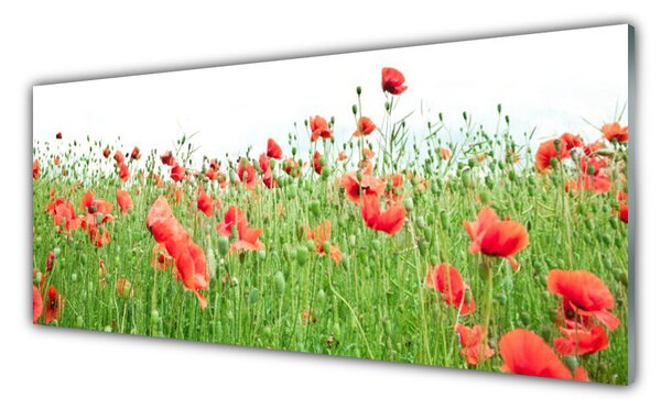 Nástenný panel  Maky rastlina príroda 125x50 cm