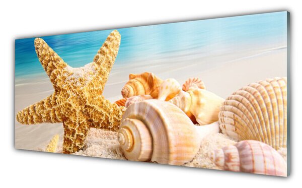 Nástenný panel  Hviezdice mušle umenie 125x50 cm