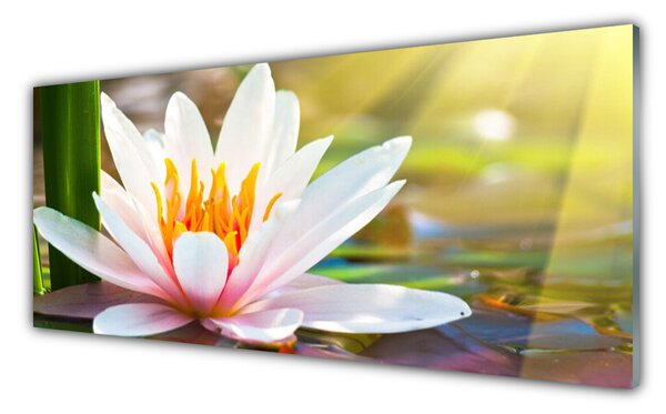 Nástenný panel  Kvety rastlina príroda 125x50 cm