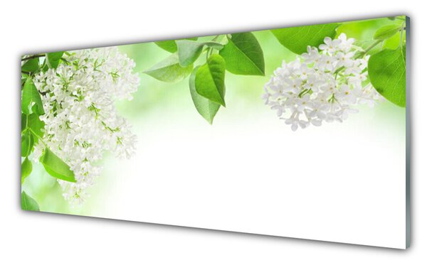 Nástenný panel  Plátky rastlina príroda 125x50 cm