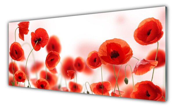 Nástenný panel  Maky rastlina príroda 125x50 cm