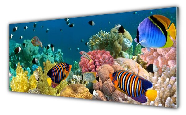 Nástenný panel  Koralový útes príroda 125x50 cm