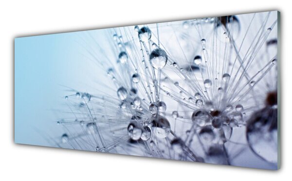Nástenný panel  Púpava rastlina 125x50 cm